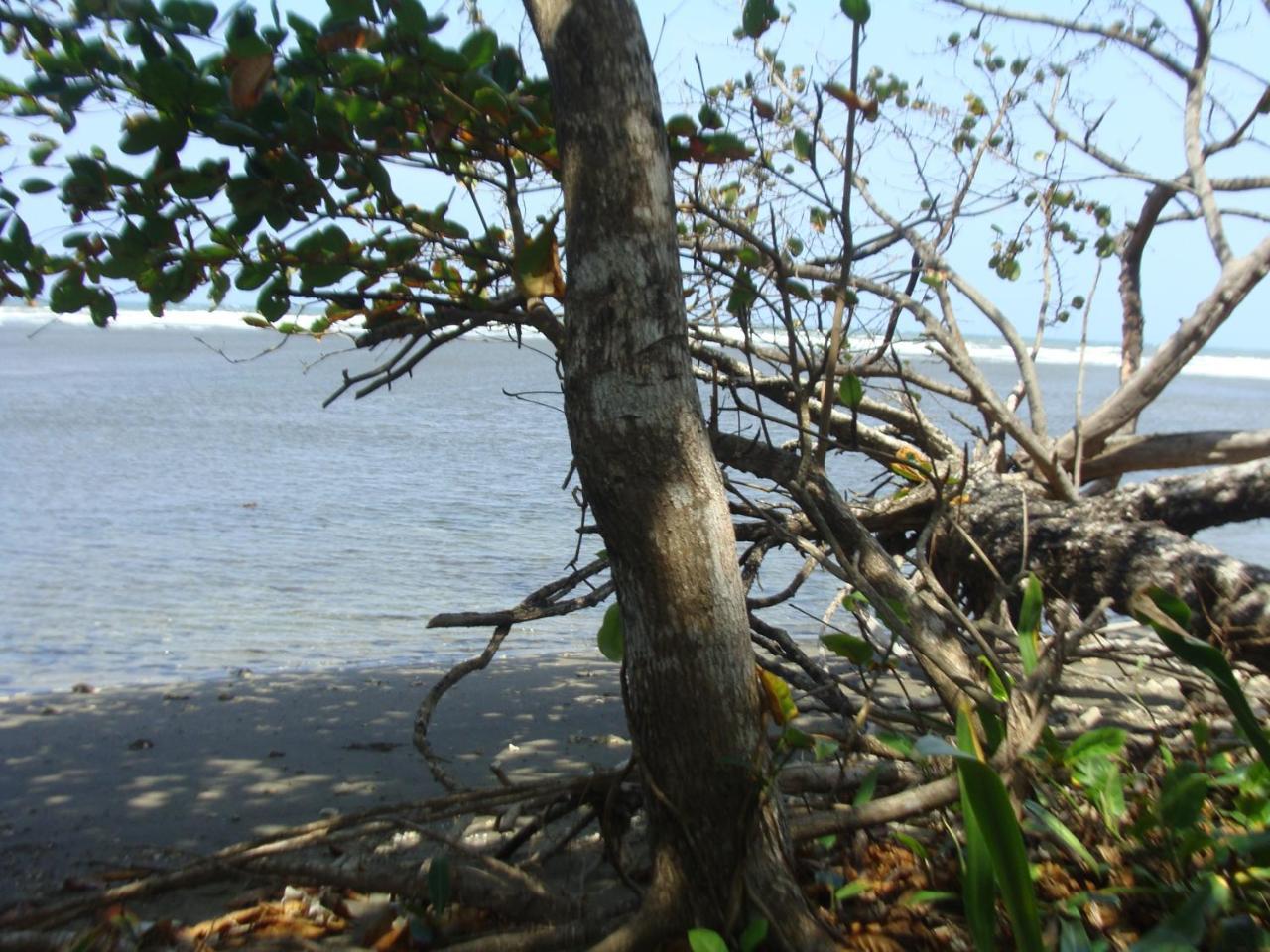 Apartamento En Balabeach Maria Chiquita In Front Of The Beach 2Hab Colon Exterior foto