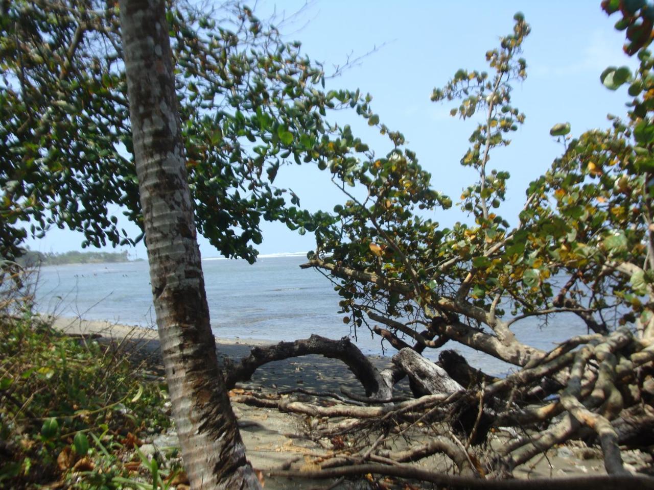 Apartamento En Balabeach Maria Chiquita In Front Of The Beach 2Hab Colon Exterior foto
